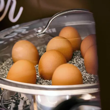 Baden-airpark 3* Rheinmunster